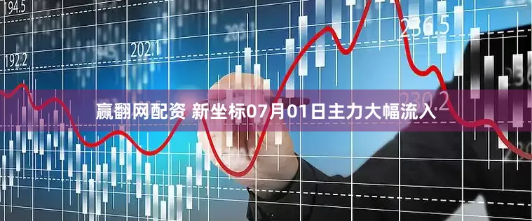 赢翻网配资 新坐标07月01日主力大幅流入